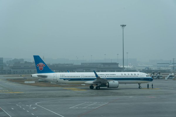 Quels sont les meilleurs spots pour la plongée avec les requins-baleines en mer Rouge, Égypte : conseils et périodes ?