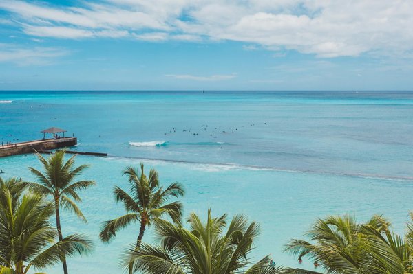 Où faire de la plongée avec les dauphins dans leur habitat naturel aux Açores, Portugal ?