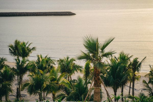 Réductions de Voyage : Comment Profiter des Offres les Plus Avantageuses ?